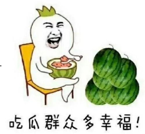 瓜圈吃瓜娱乐圈